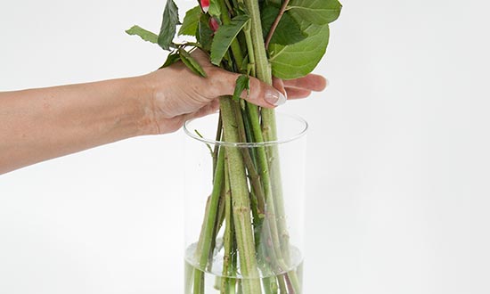 How To Keep Your Flowers Fresh For Long