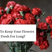 How To Keep Your Flowers Fresh For Long_