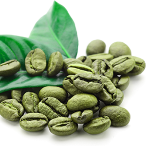 lose weight with green coffee